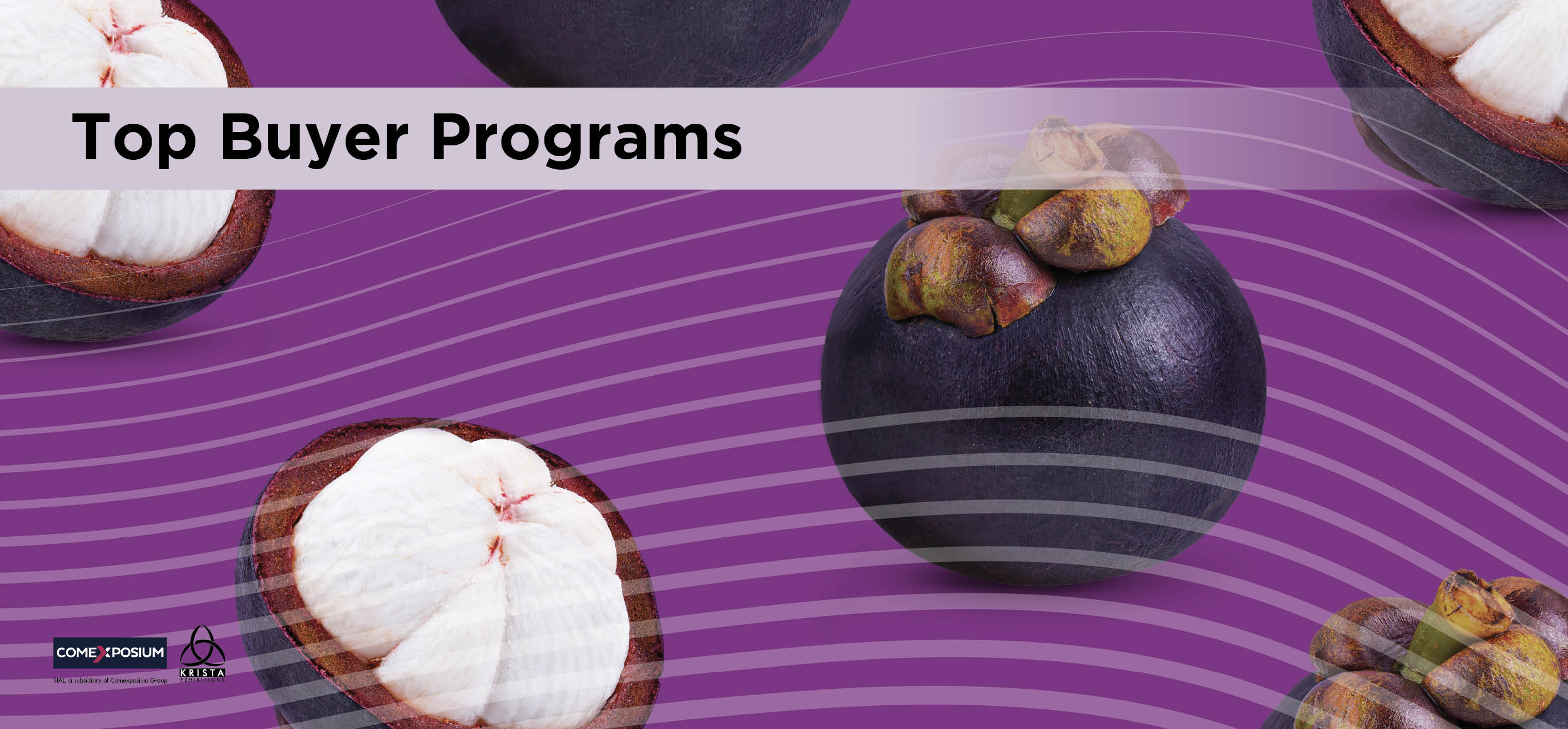 SIAL Interfood Event Banner